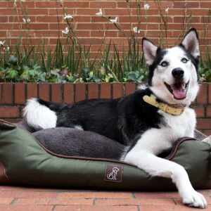 Cama Para Perro Cuadrada Verde