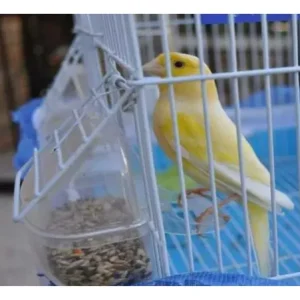 Jaula Para Ave Modelo Piolín Con Accesorios