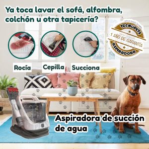 Aspiradora de succión de agua 3 en 1 (Alfombra, Tapiz, Colchón)