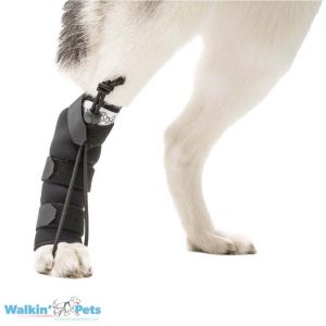 Corrector Propioceptivo Trasero (No-Knuckling Training Sock) – Walkin' Pets