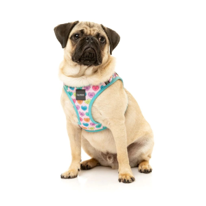 ¡OFERTA FuzzYard! Correa y arnés step in para perros modelo Candy Hearts