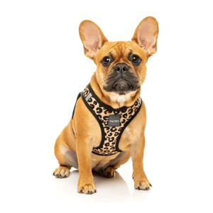 ¡OFERTA FuzzYard! Correa y arnés step in para perros modelo Javan