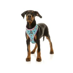 ¡OFERTA FuzzYard! Correa y arnés step in para perros modelo Hey Suckers!