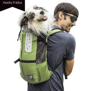 Trainer Verde/ Cahorros y Perros Pequeños